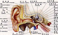 “乳突有效治疗术”祛除中耳炎乳突炎，遏制听力下降